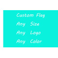 Custom Flag out door flag club flag Election flag sports